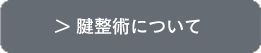 腱整術について